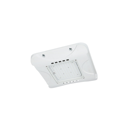 60w 옥외 LED 닫집 전등 설비 IP66 2200K-7000K