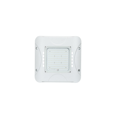 주유소 점화를 위한 IP66 60W LED 닫집 빛 LED 닫집 개조